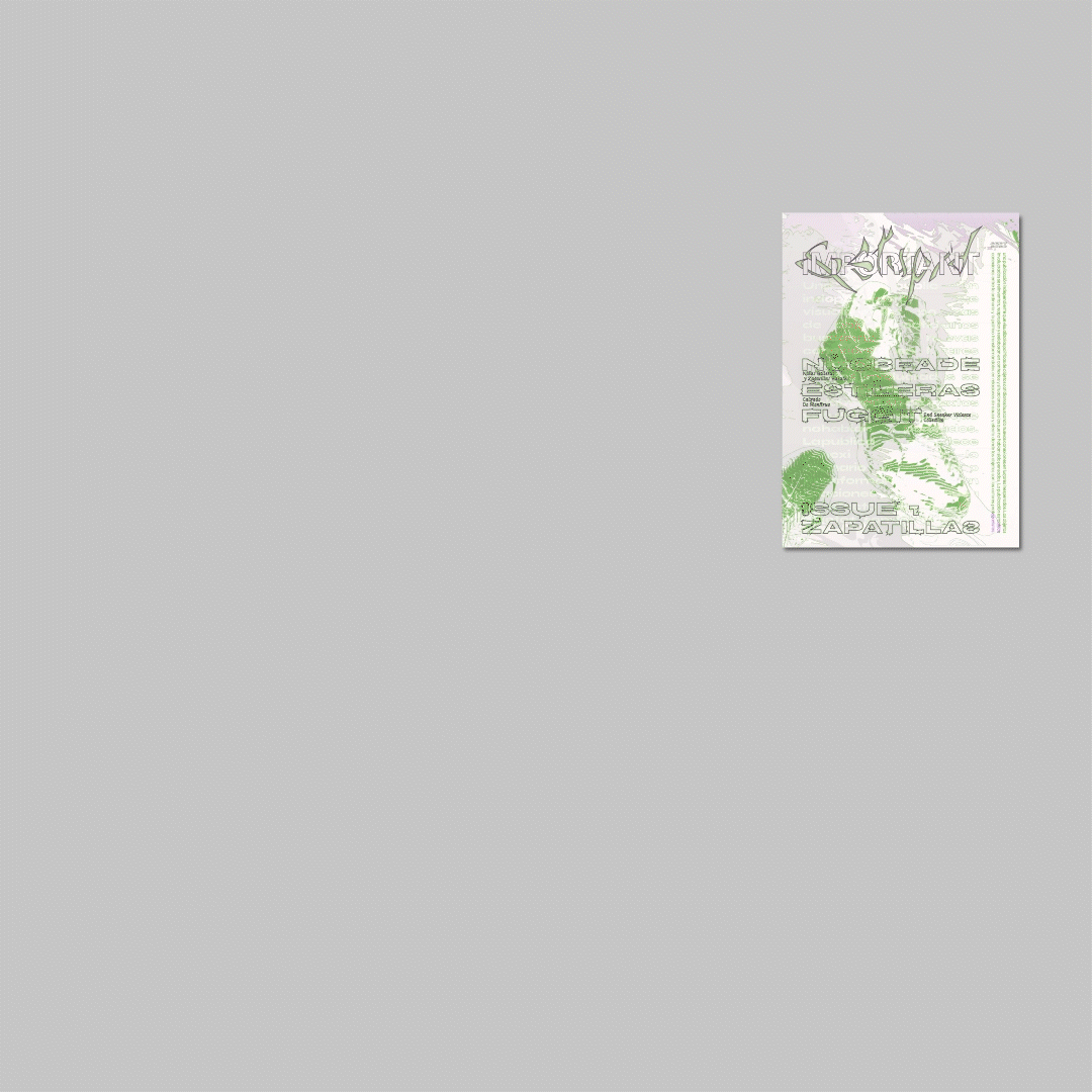 Unfolding Important & Stupid posterzine