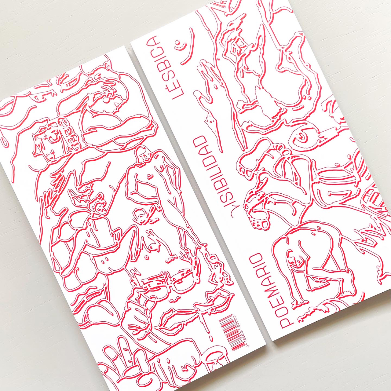 Lesbian Visibility Poetry Collection cover and back cover