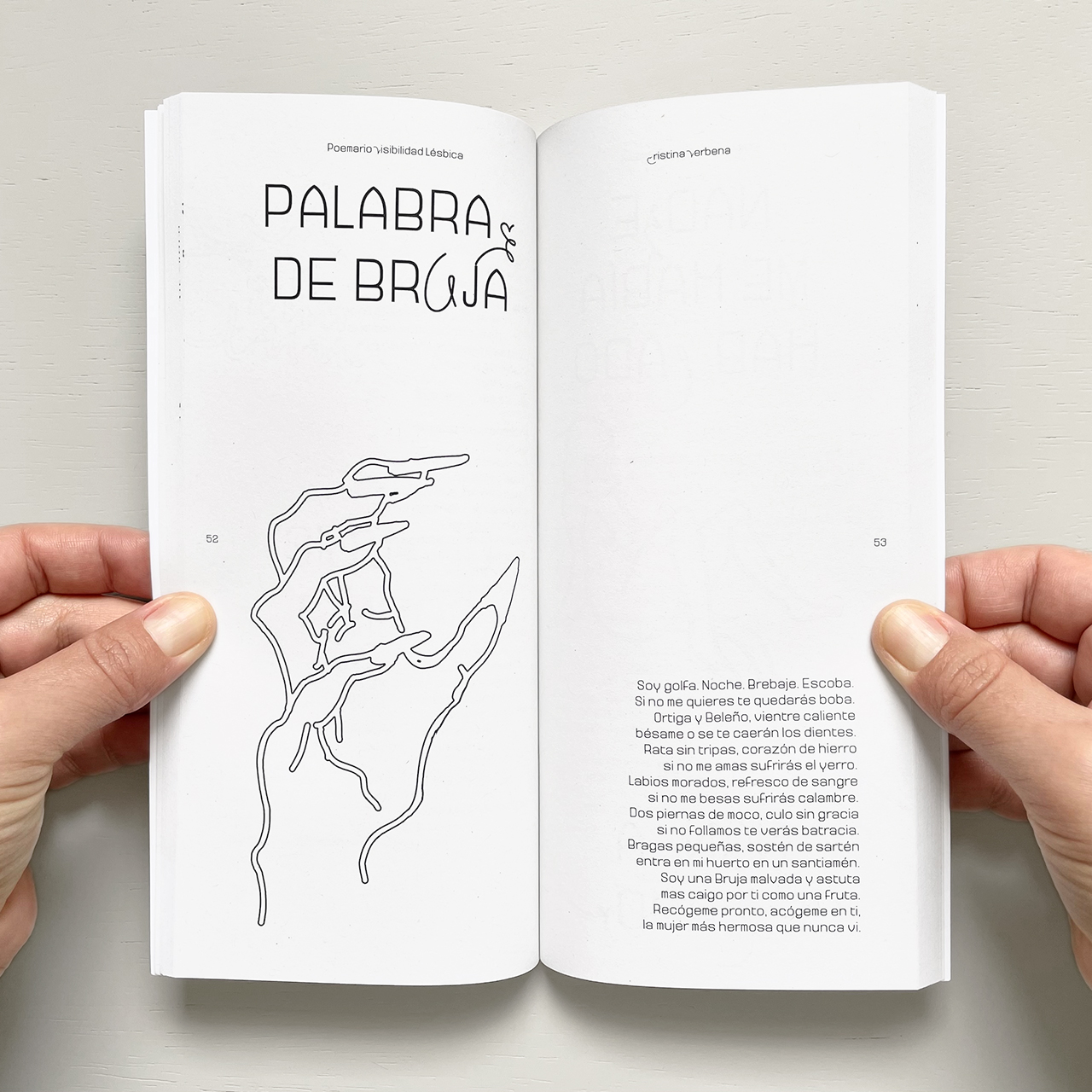 Lesbian Visibility Poetry Collection interior