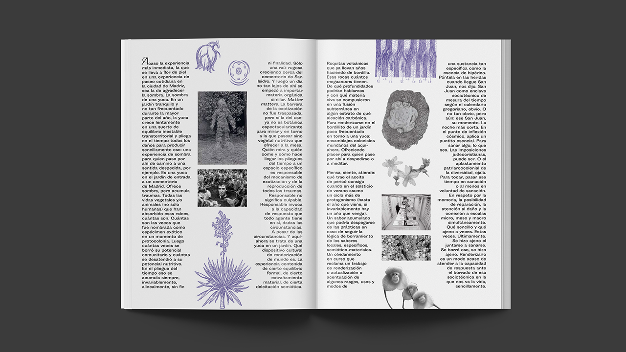 Interior of Render exhibition catalogue